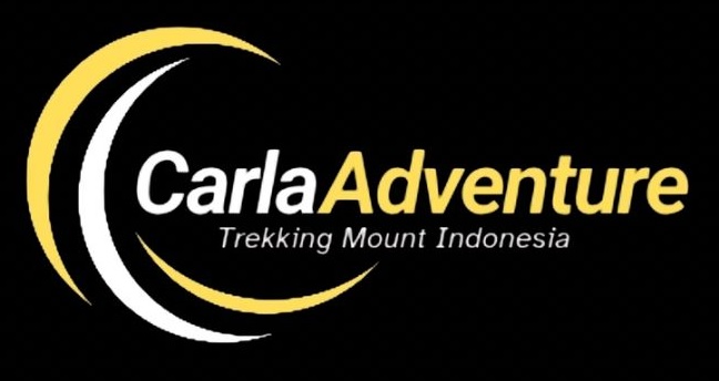CARLA ADVENTURE